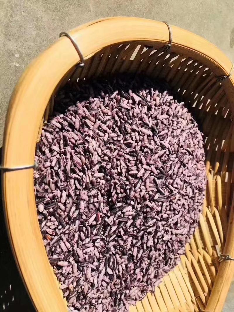 墨江紫米，粒粒饱满圆润光滑细腻，口感相当丰富