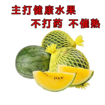 正宗特小凤西瓜/3斤打底/8成熟西瓜/头茬特小凤