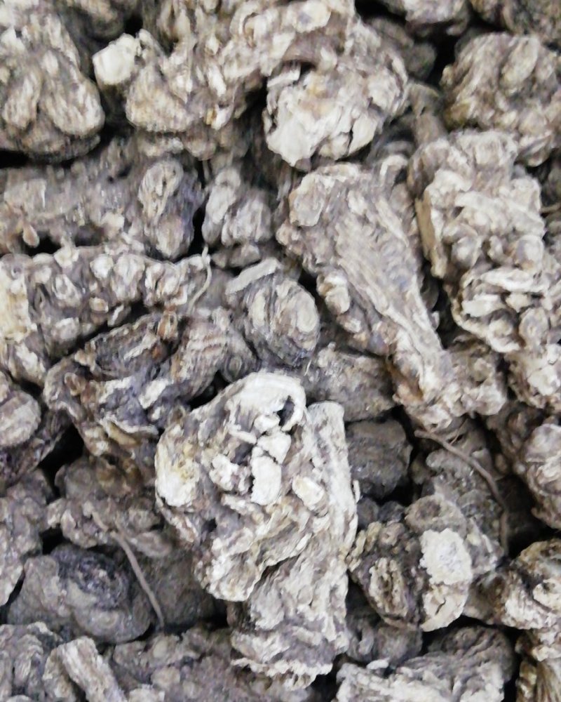 当归当季上新量大从优随时有货欢迎电话咨询