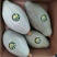 【本周热销产品】橄榄型清蒸金瓜，粉糯香甜，板栗味