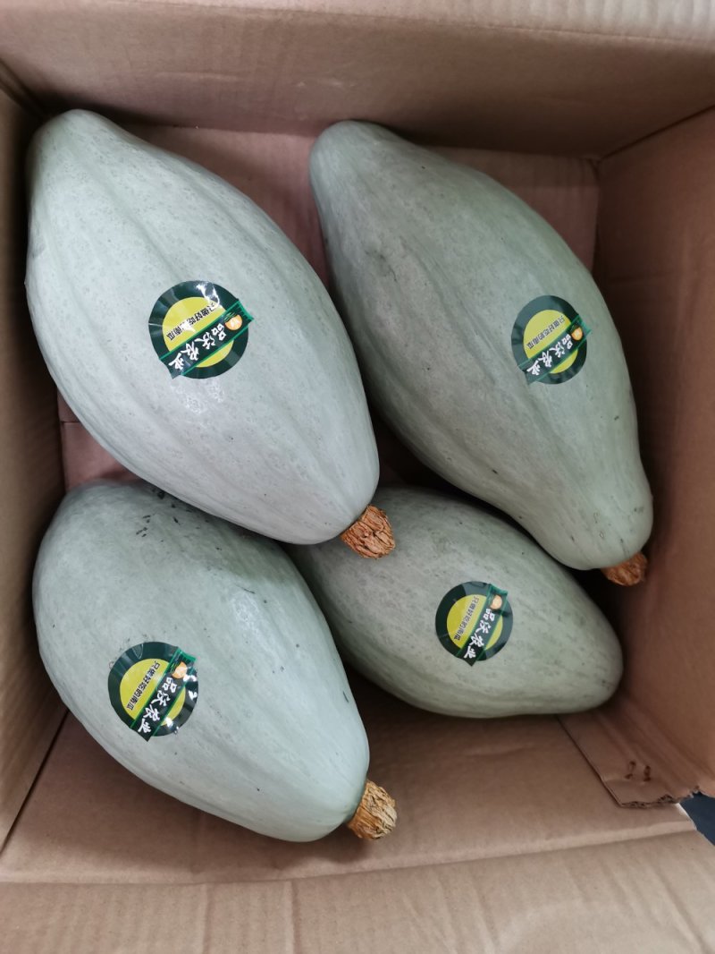 【本周热销产品】橄榄型清蒸金瓜，粉糯香甜，板栗味