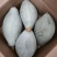 【本周热销产品】橄榄型清蒸金瓜，粉糯香甜，板栗味