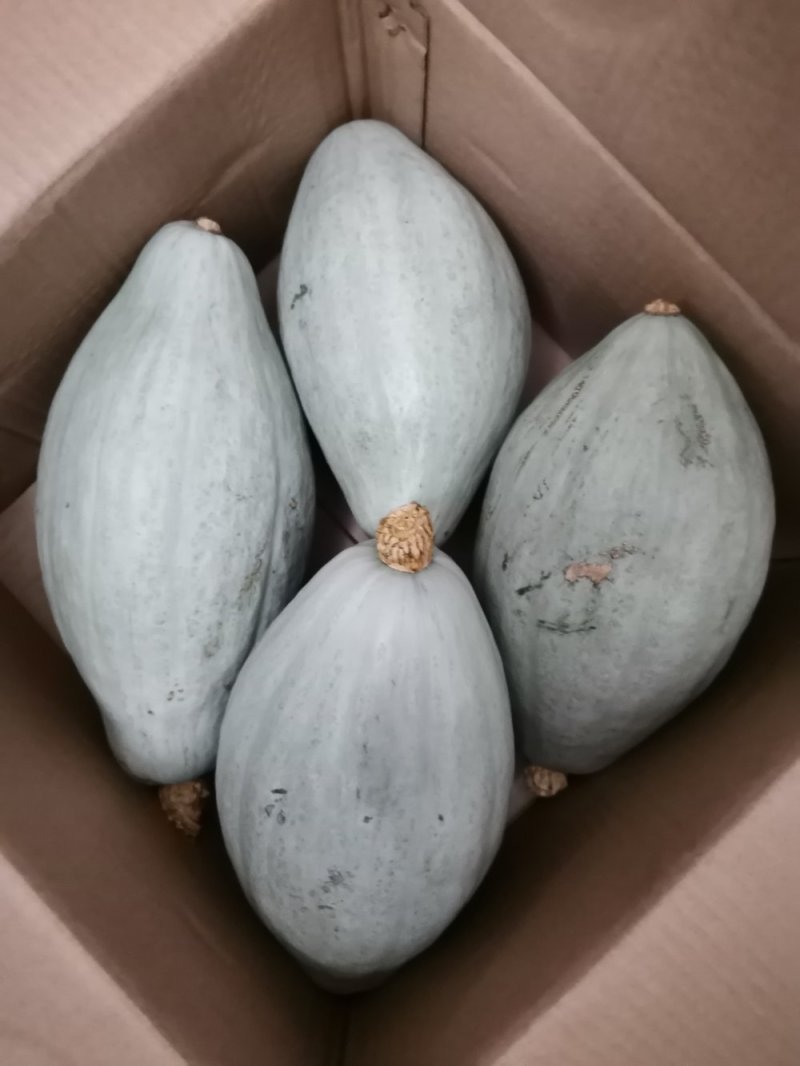 【本周热销产品】橄榄型清蒸金瓜，粉糯香甜，板栗味