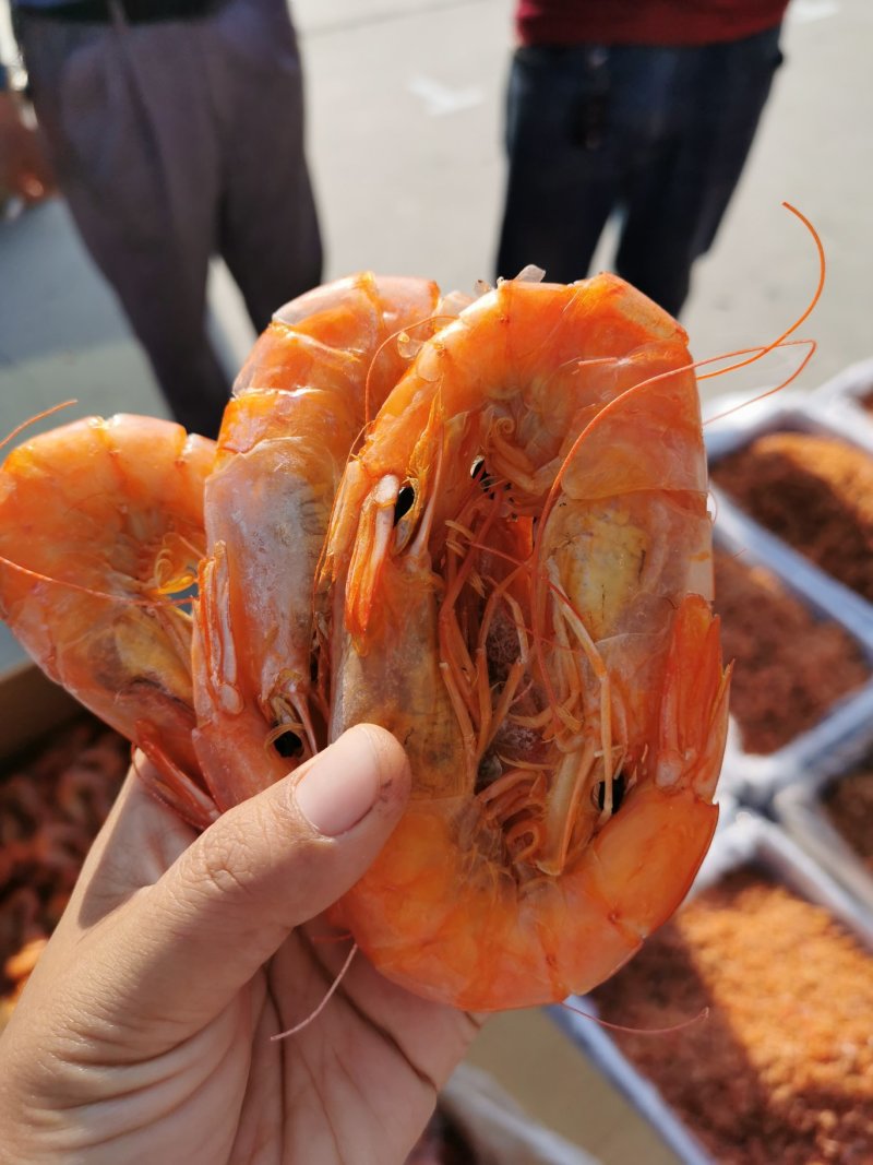大对虾