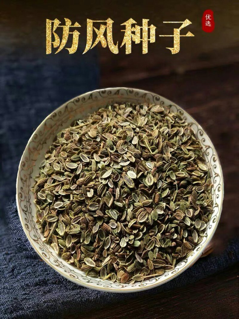 防风种子纯新种子货包发芽免费技术指导批发
