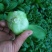 小青菜