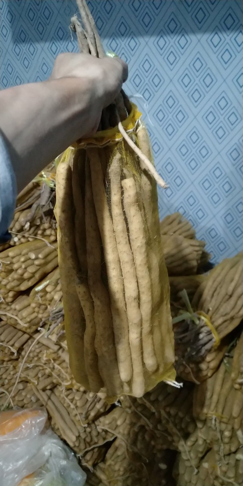 自家种植，小白嘴白山药麻山药