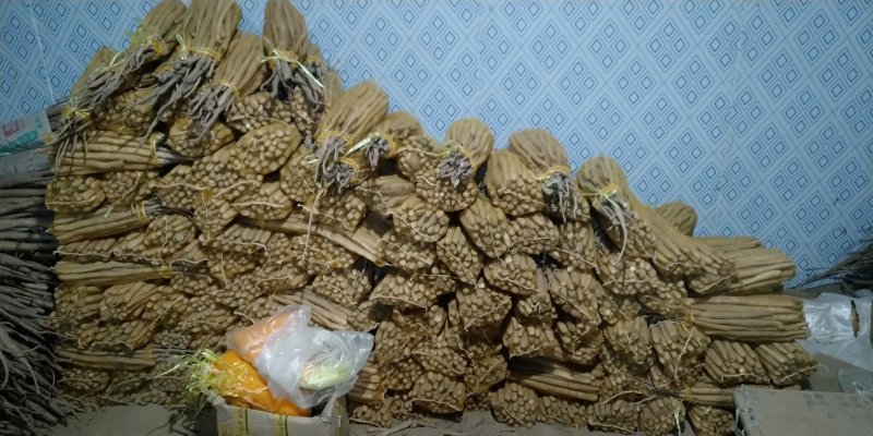 自家种植，小白嘴白山药麻山药