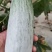 【诚信实力代收代发】山东羊角蜜甜瓜,精品货,电商货都有
