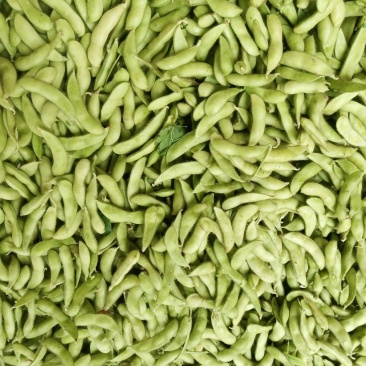 安徽芜湖新上市毛豆豇豆农产地直销