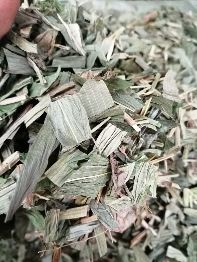 淡竹叶，青绿切片竹叶，颜色漂亮干度好，大量现货供应