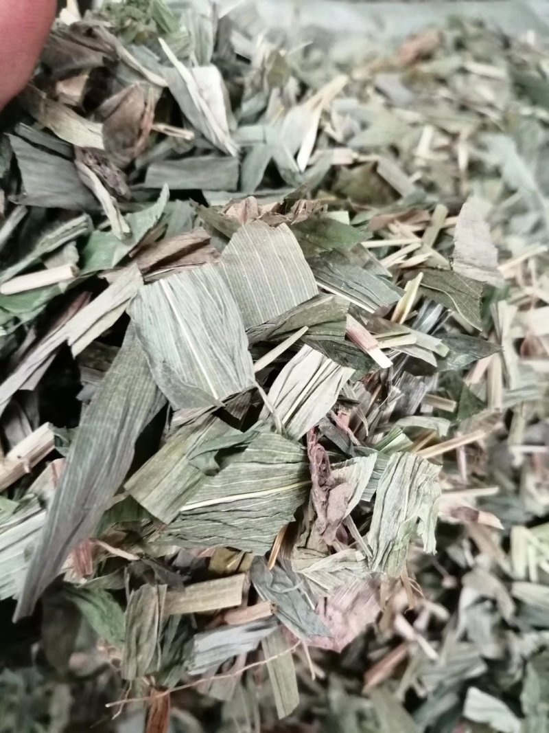 淡竹叶，青绿切片竹叶，颜色漂亮干度好，大量现货供应