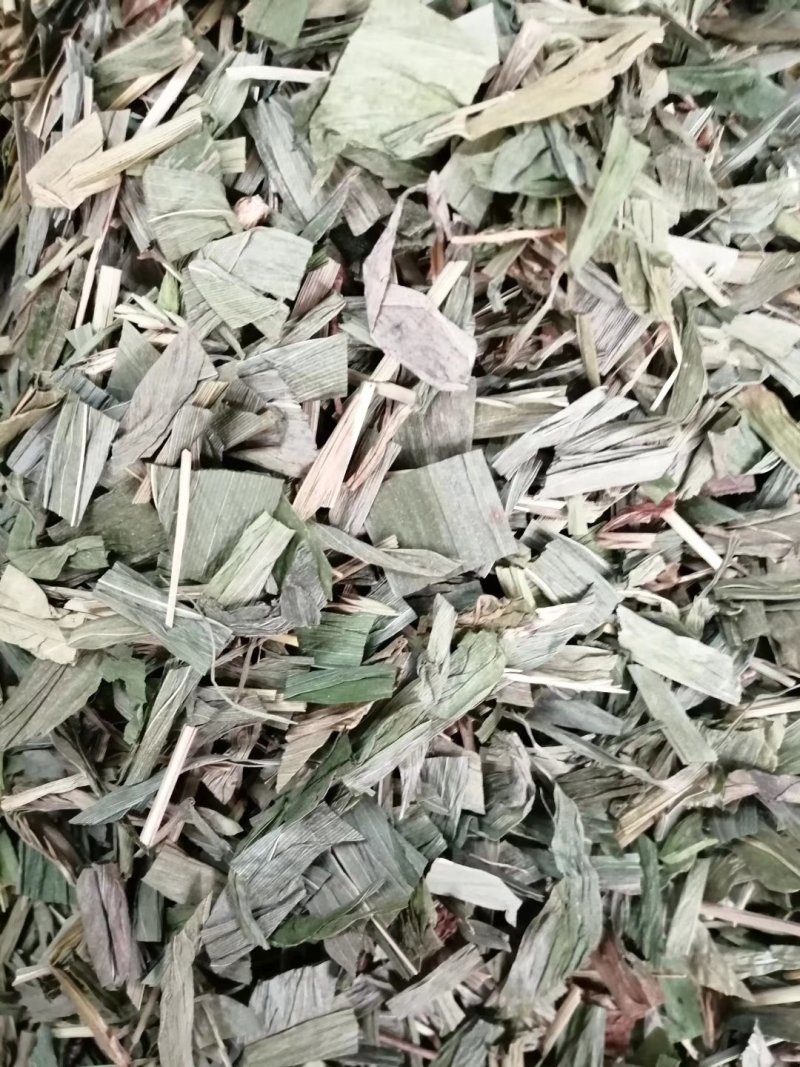 淡竹叶，青绿切片竹叶，颜色漂亮干度好，大量现货供应