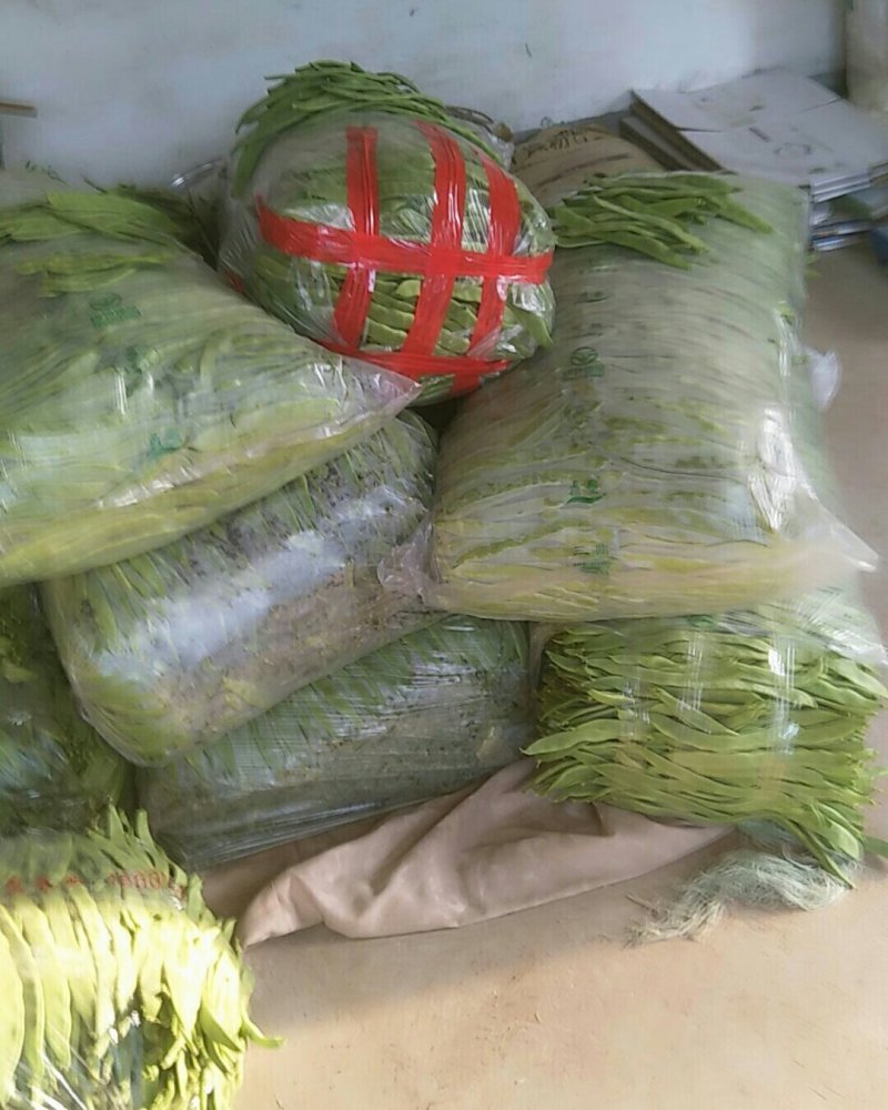 商河大扁芸豆质量好，价格低有需要的联系。欢迎新老客户骚扰