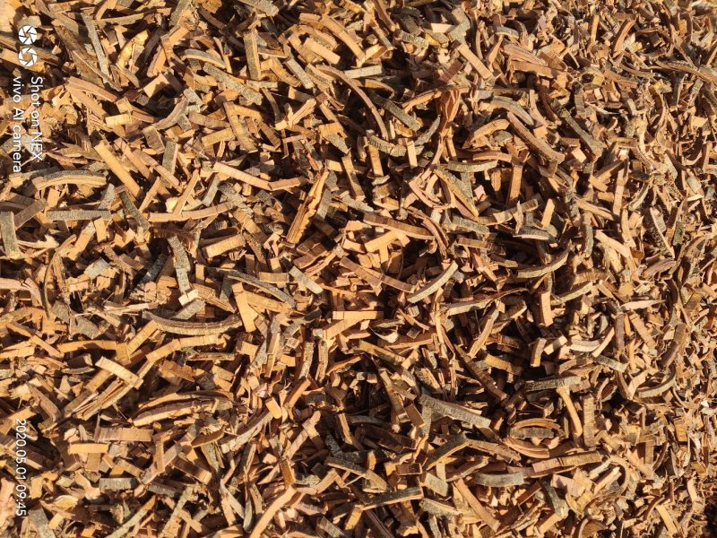 秦皮大货通货选货产地一手货源河南产地秦皮片子