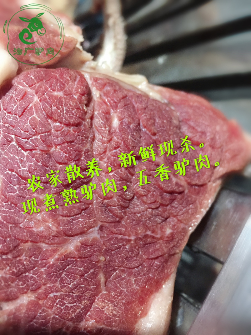 熟驴肉真空熟食山东特产礼品五香卤香驴肉新鲜熟即食