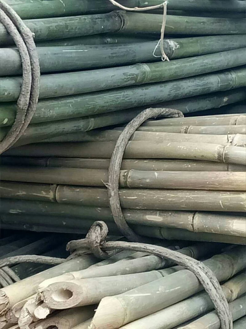 陇南木竹，西红柿架杆，豆角架杆，质量好，可用三至五年