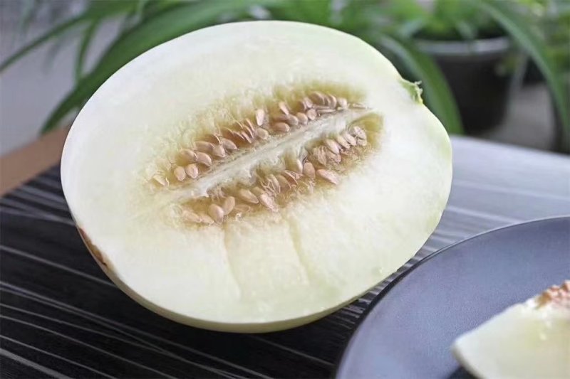 陕西阎良甜瓜