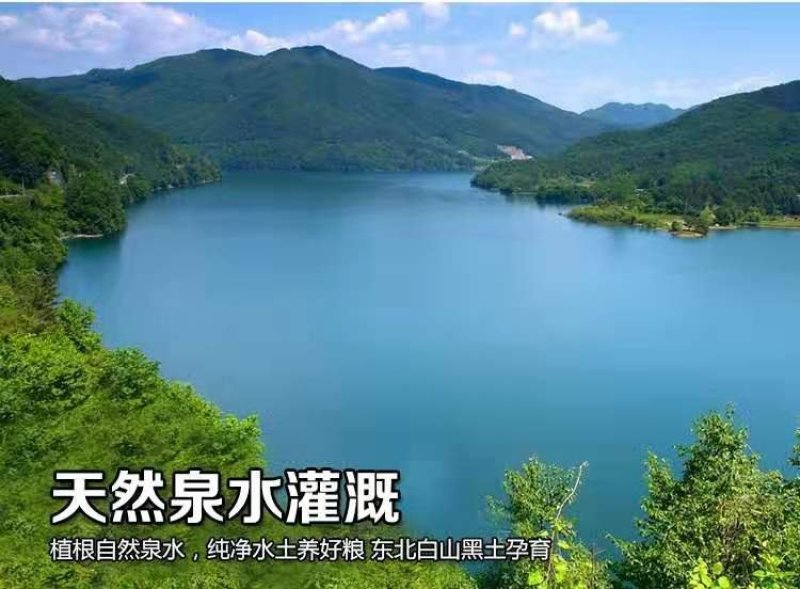 五常稻花香二号木制精品礼盒5公斤东北大米稻花香产地直供