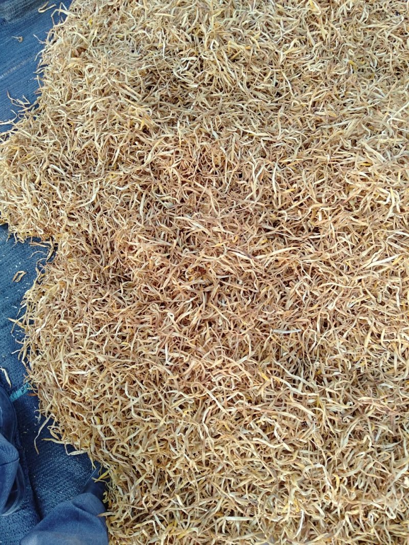 大量推出特价黄花，量大从优。