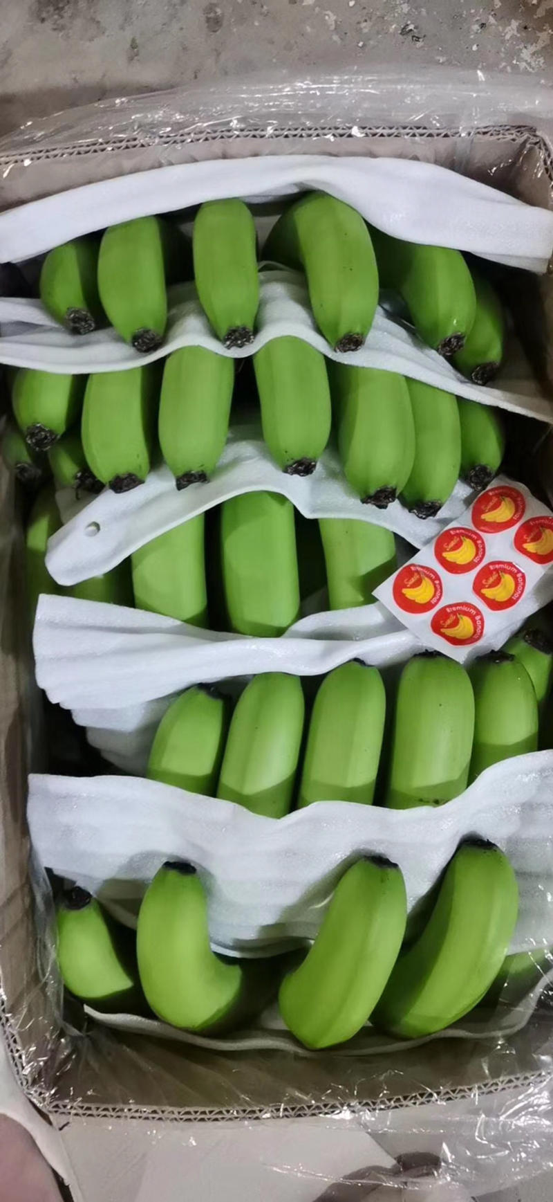 【实力推荐】一年四季供应云南广西香蕉，果面干净口感糯甜，