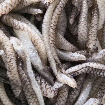清水鱼皮