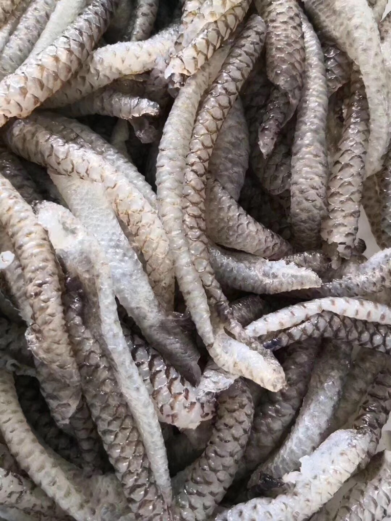 清水鱼皮