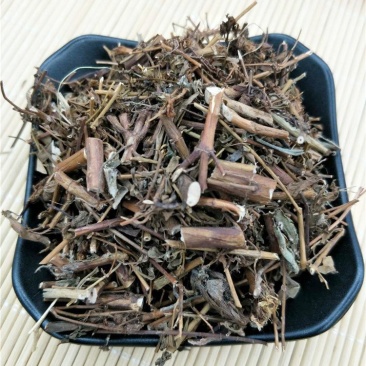 贯叶连翘产地直销量大从优一手货源