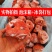 新鲜猪脸皮猪拱嘴猪鼻子猪脸一箱20斤饭店食堂卤菜食材