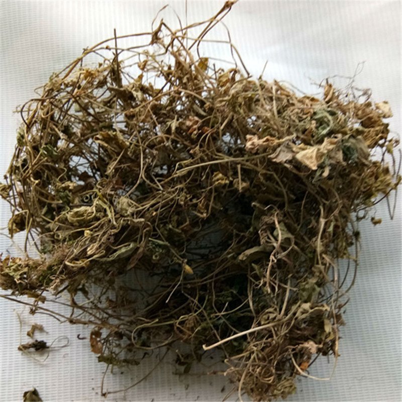 积雪草产地直销量大从优一手货源
