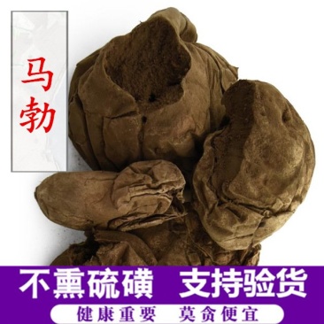 马勃产地直销量大从优一手货源