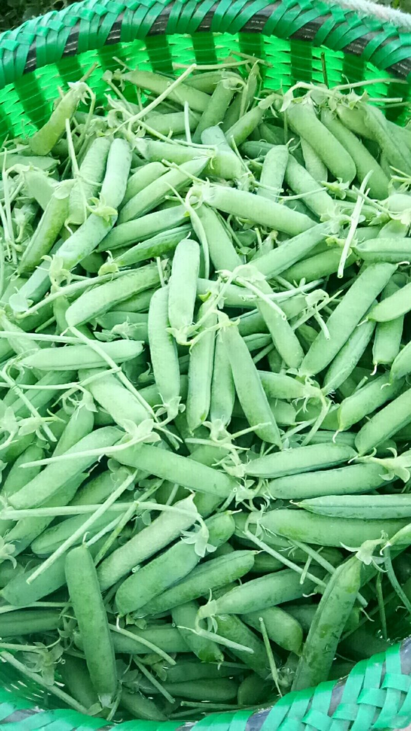 需要精品货的老板请联系了大量供应，