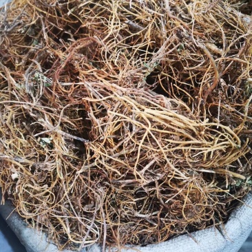 龙胆草