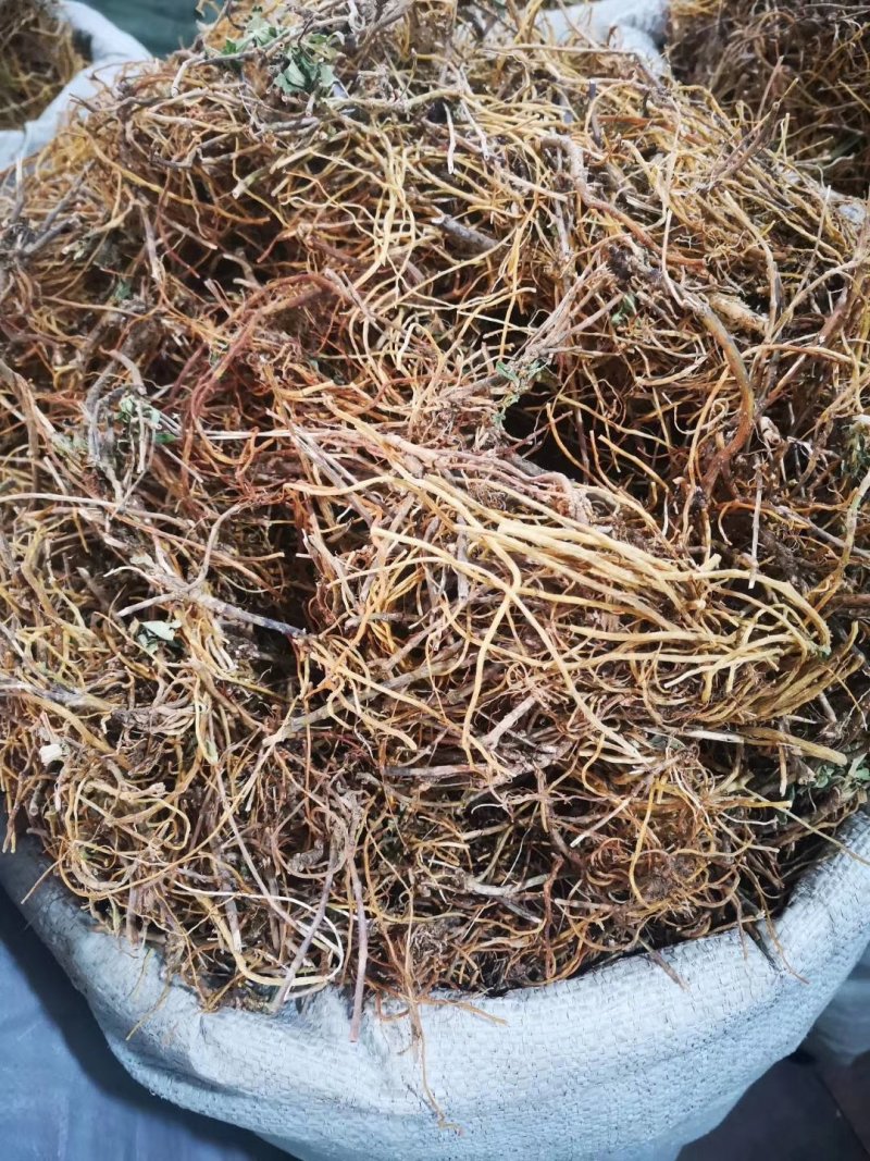 龙胆草