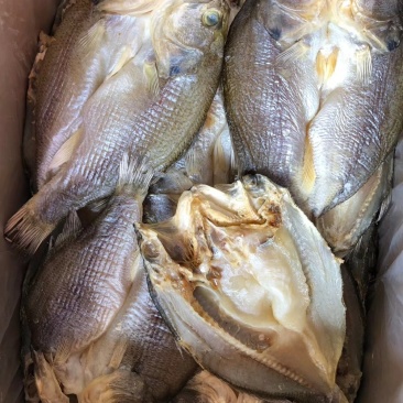 鲈鱼干闲鱼