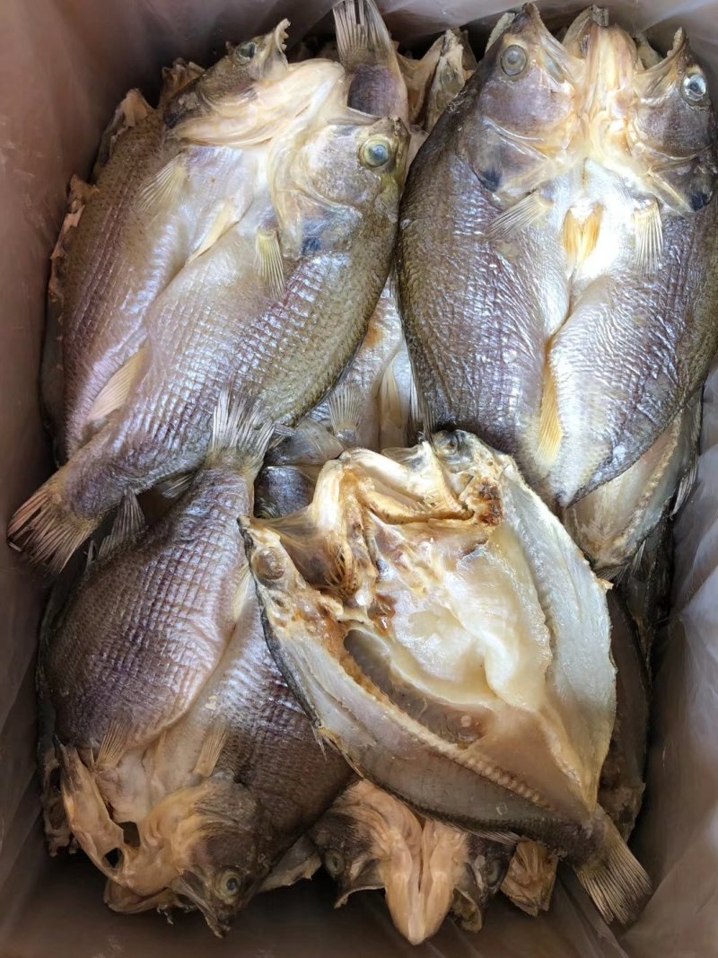 鲈鱼干闲鱼