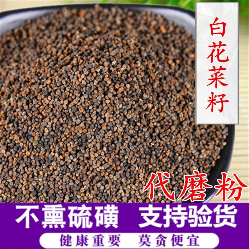 白花菜籽产地直销量大从优一手货源