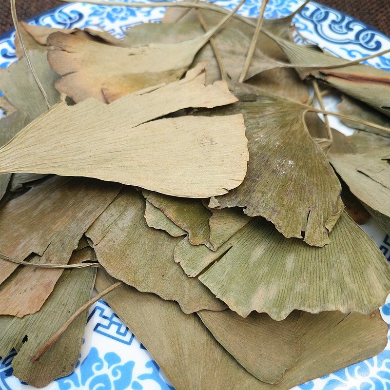 银杏叶产地直销量大从优一手货源