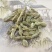 槐角炙槐角产地直销量大从优一手货源