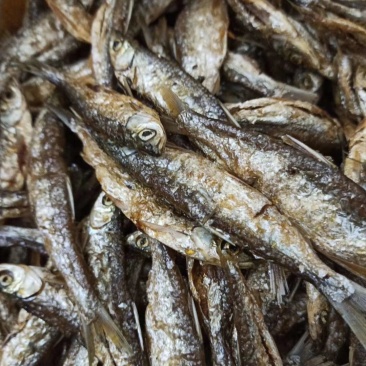 油炸蓝刀鱼