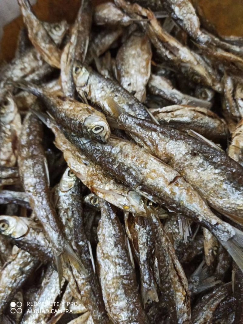油炸蓝刀鱼