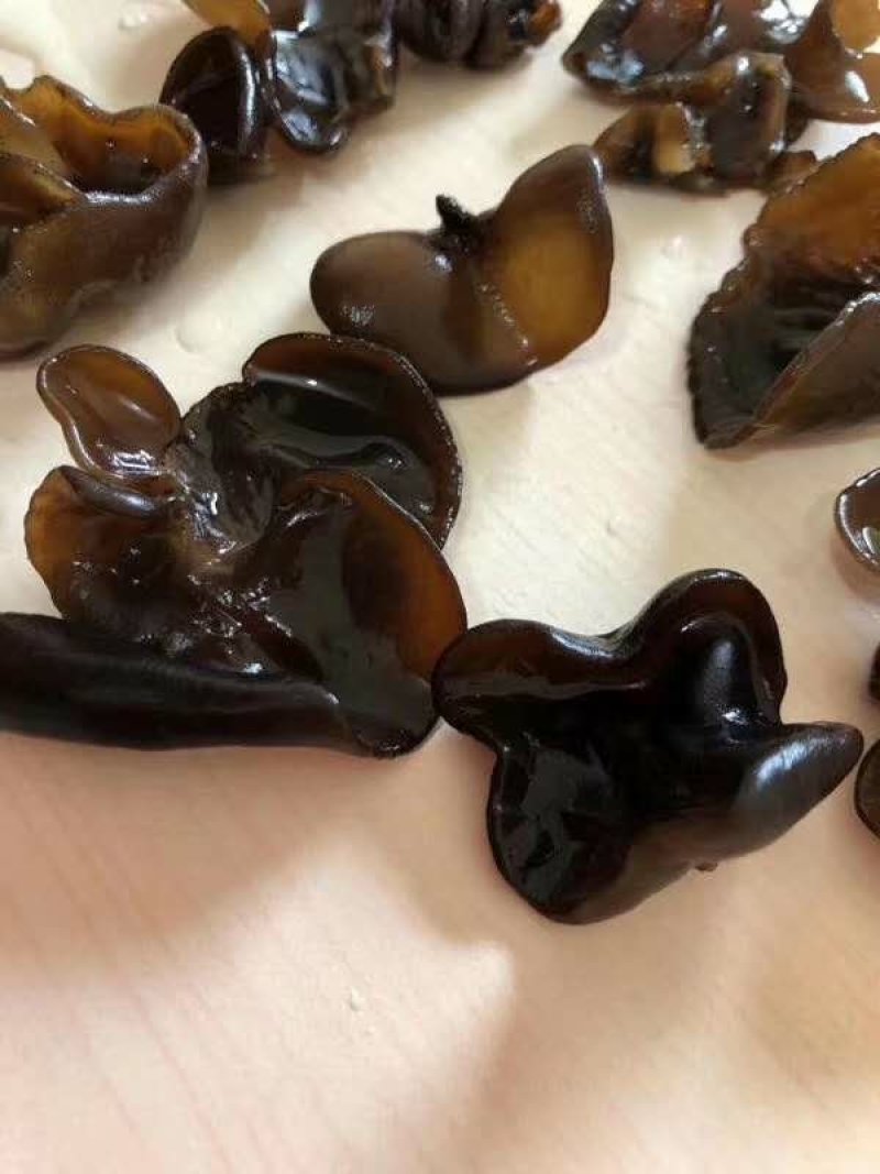黑木耳东北黑木耳地摊赶集展销会产地