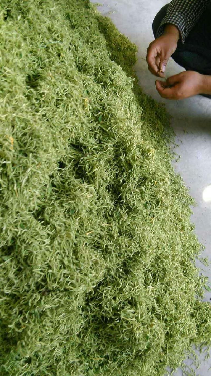 金银花，等级分类，色泽分类