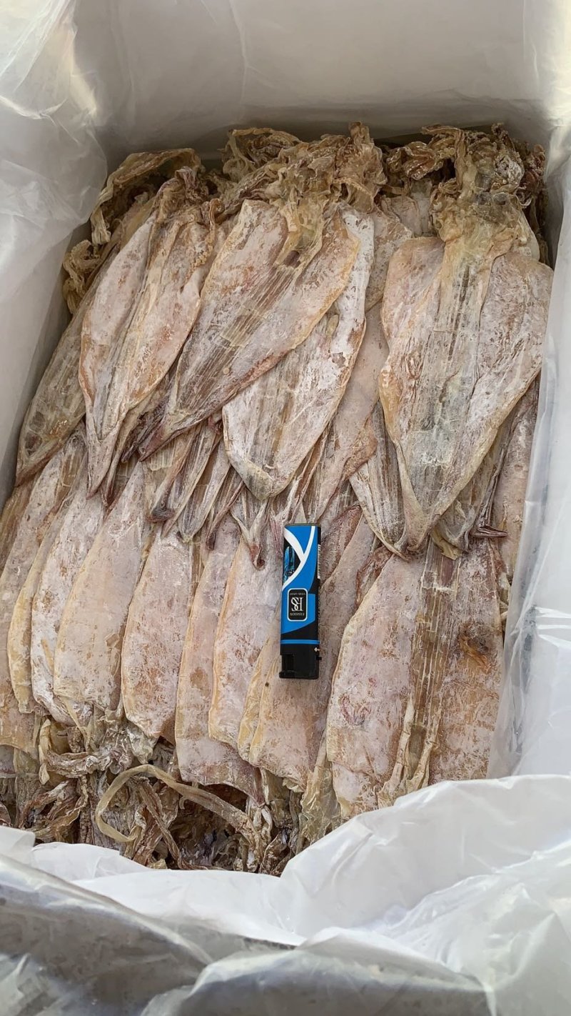 干鱿鱼剑鱿1号