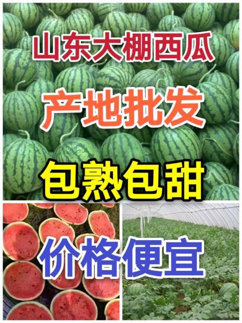 【山东优质甜王西瓜】包熟包甜，大量上市，全国发货