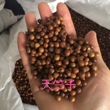 中药材：天竺子，纯野生药用
