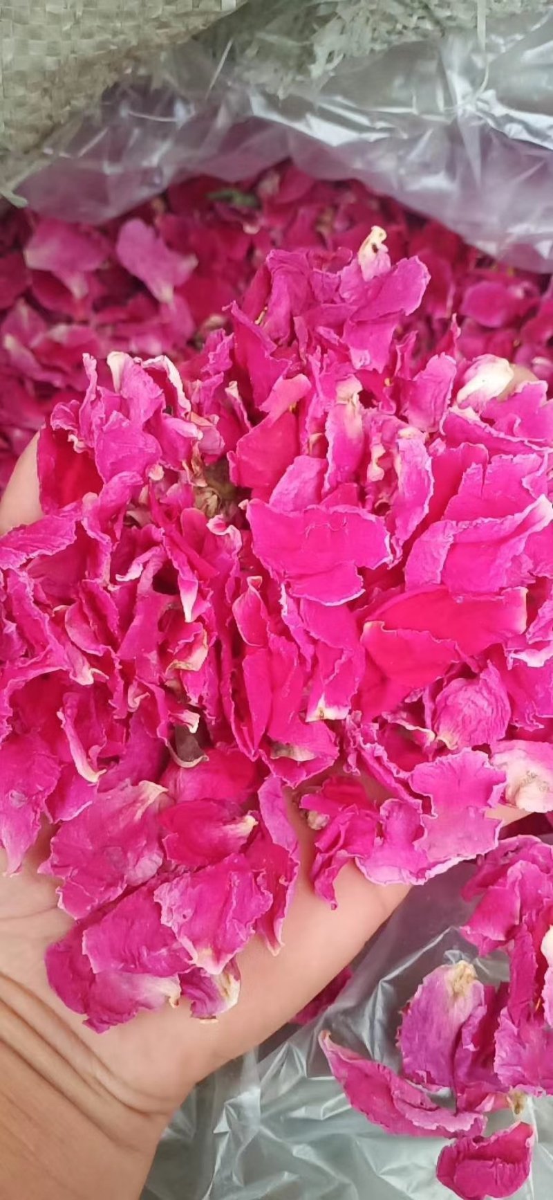 芍花瓣花苞