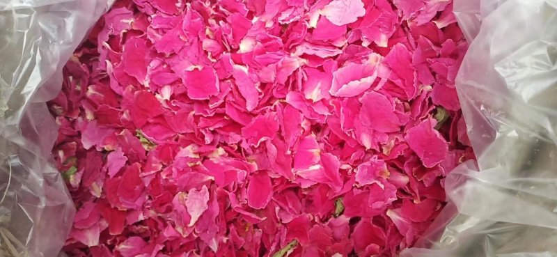 芍花瓣花苞