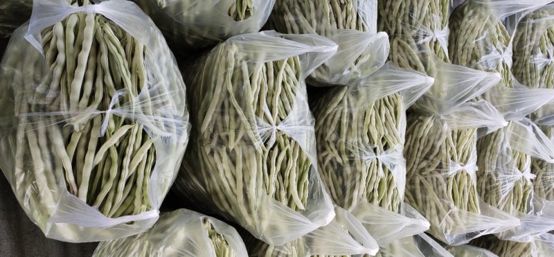 临沂市莒南九里白芸豆大量上市可视频看货欢迎咨询