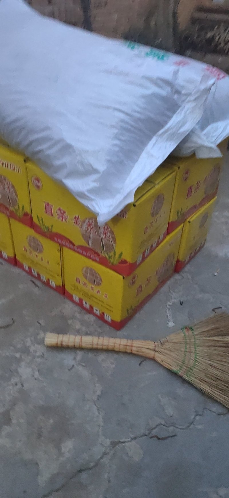 黄花菜，奶泡适合跑江湖摆摊长期供应欢迎来电洽谈